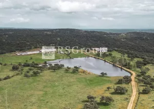 GRAN FINCA DE LUJO A SOLO 50 KM DE SEVILLA