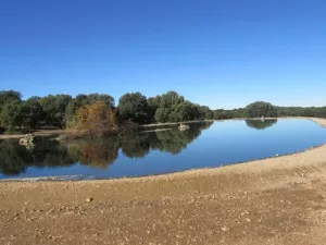 FINCA DE LABOR Y CAZA MENOR EN CIUDAD REAL