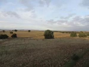 FINCA AGRICOLA, RECREO Y CAZA EN CIUDAD REAL