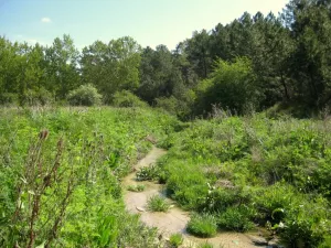 FINCA DE RECREO EN SEGOVIA - 1302