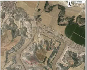 Parcelas agrícolas y para plantación forest.