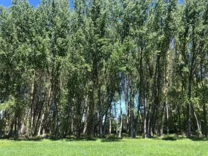 Finca agrícola de 3ha con casa de 200m2