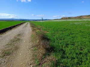 Venta terrenos de cultivo