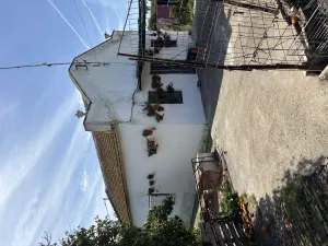 Finca de naranjos en Palma del Río