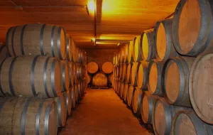 Bodega en venta de vinos naturales
