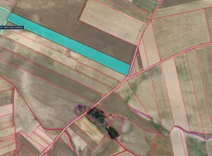 Vendo lote de parcelas SECANO