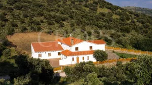 Venta finca de caza con vivienda en Zaragoza