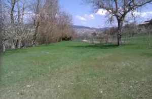 SE VENDE finca en URRIA (Norte de Burgos)