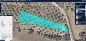 Olivar Secano -2484m2-Navalcán (Toledo)