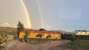 Villa tres casas+ finca pistachos