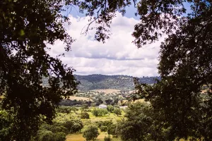 Venta finca de recreo en finca la basílica