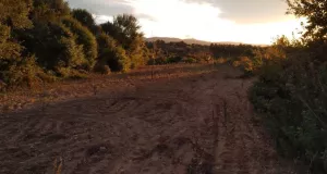 Finca rústica en venta