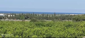 Venta en Oliva Terreno