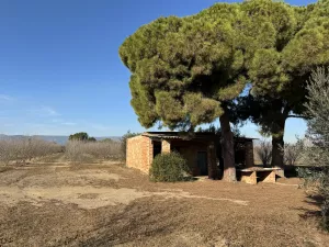 Vendo finca rustica