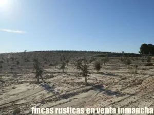 finca en venta 23 has. encina para trufa