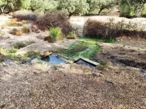 ¡¡¡ FINCA IDEAL PARA MONTAR NEGOCIO RURAL!!!