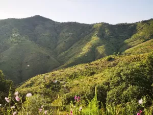 Finca Rústica  Licencia construcción vivienda