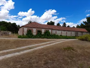 Venta finca forestal y 1.918m2 edificacion