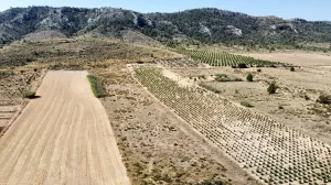 Terreno rústico en venta en Villena, Alicante