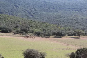 Espectacular finca en Toledo Ref. 1528