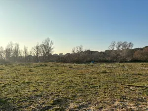 Finca Rústica 2 Hectáreas en Quijorna