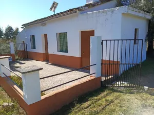 finca  pequeña de olivos