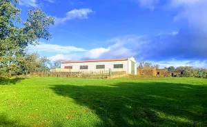 Dehesa en Cáceres