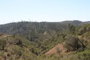 FINCA CINEGETICA EN HUELVA - 1461