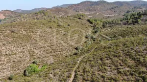 Finca ganadera en Huelva con vivienda y caza