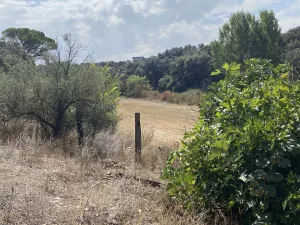 Finca DE 47 hectáreas, con 2 casas en Cuenca