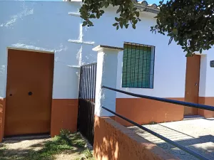 finca  pequeña de olivos