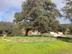 VENTA FINCA EN SIERRA DE ARACENA Y PICOS DE A