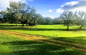 Dehesa en Cáceres