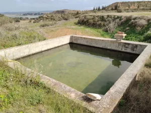 Finca Regadio Caspe Aragon