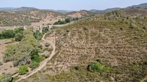 Finca ganadera en Huelva con vivienda y caza