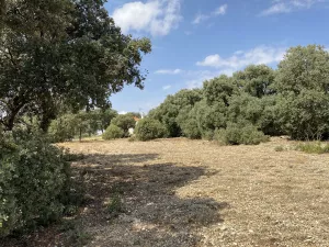 Finca DE 47 hectáreas, con 2 casas en Cuenca