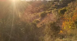 Finca rústica en venta