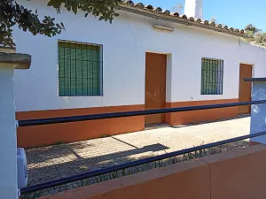 finca  pequeña de olivos