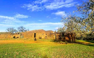 Dehesa en Cáceres