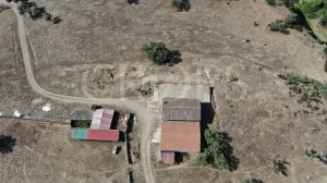 Finca ganadera en Huelva con vivienda y caza