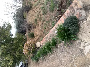 Finca con antigua torre