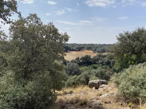 Finca DE 47 hectáreas, con 2 casas en Cuenca