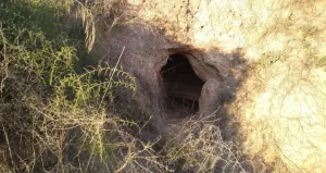 Finca rústica en venta