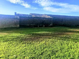 Dehesa en Cáceres