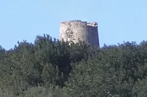 Finca con antigua torre