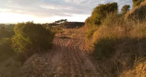 Finca rústica en venta