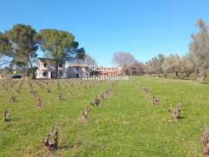 Finca Viñedo con Masia en Produccion