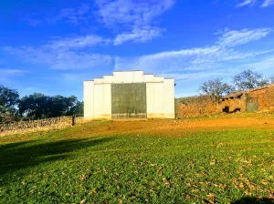 Dehesa en Cáceres