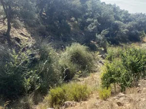 Finca DE 47 hectáreas, con 2 casas en Cuenca