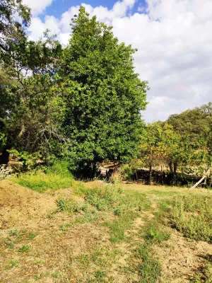 ¡¡¡ FINCA IDEAL PARA MONTAR NEGOCIO RURAL!!!